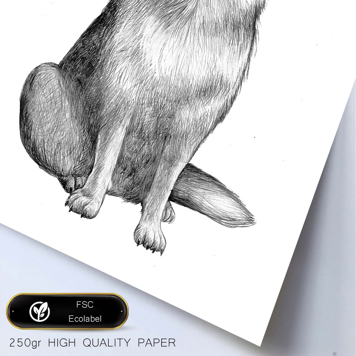 Poster de Pastor aleman blanco. Lámina decorativa de perros.-Artwork-Nacnic-Nacnic Estudio SL