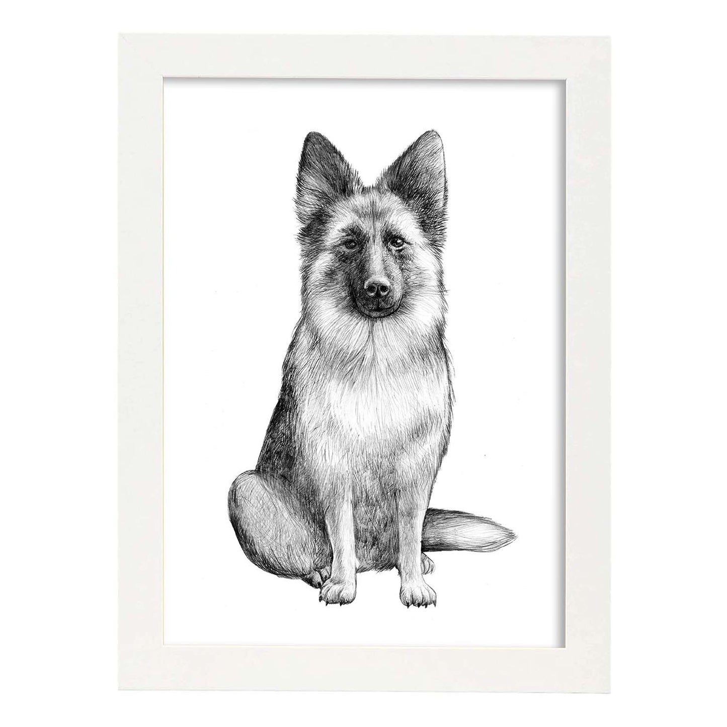 Poster de Pastor aleman blanco. Lámina decorativa de perros.-Artwork-Nacnic-A4-Marco Blanco-Nacnic Estudio SL