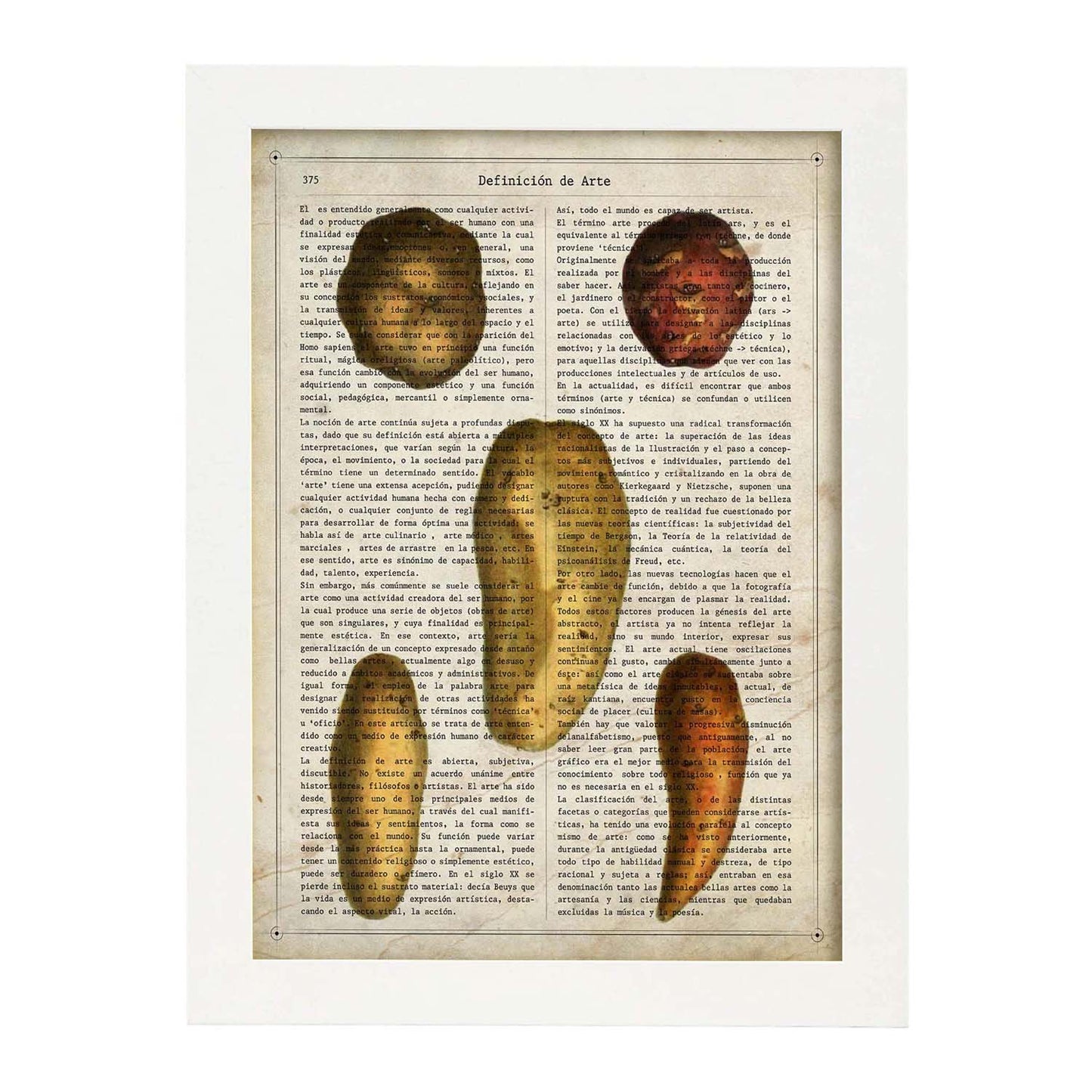 Poster de Patatas y boniatos. Láminas de frutas y verduras con definiciones. Ilustraciones de alimentacion vegetariana.-Artwork-Nacnic-A3-Marco Blanco-Nacnic Estudio SL