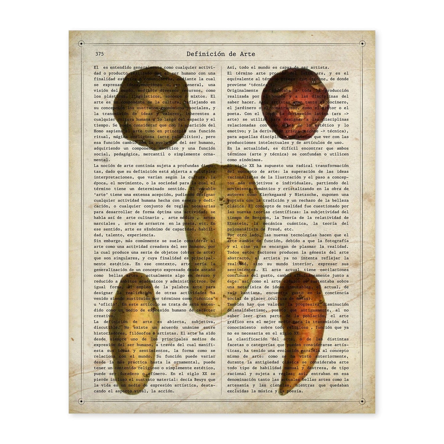 Poster de Patatas y boniatos. Láminas de frutas y verduras con definiciones. Ilustraciones de alimentacion vegetariana.-Artwork-Nacnic-A4-Sin marco-Nacnic Estudio SL
