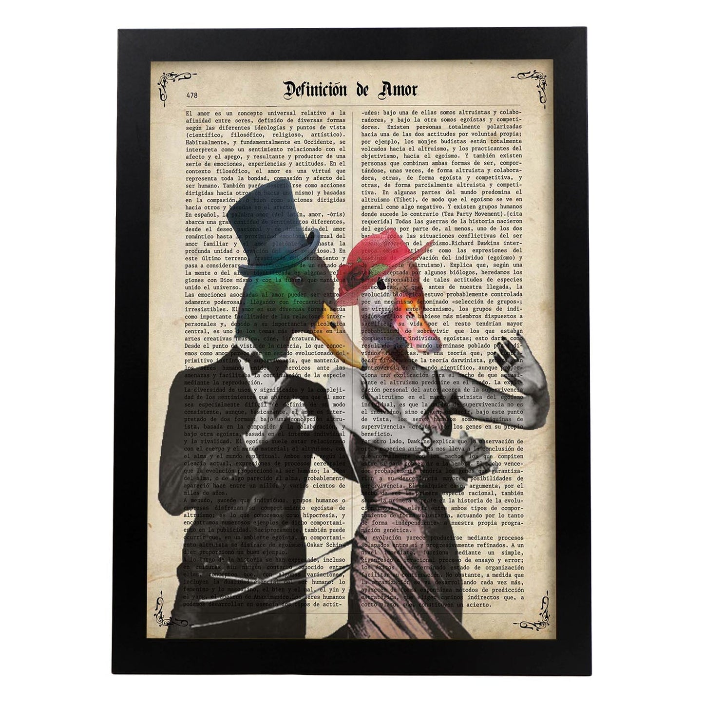 Poster de Patos bailando. Láminas de animales con definiciones. Ilustraciones de animales con textos.-Artwork-Nacnic-A4-Marco Negro-Nacnic Estudio SL