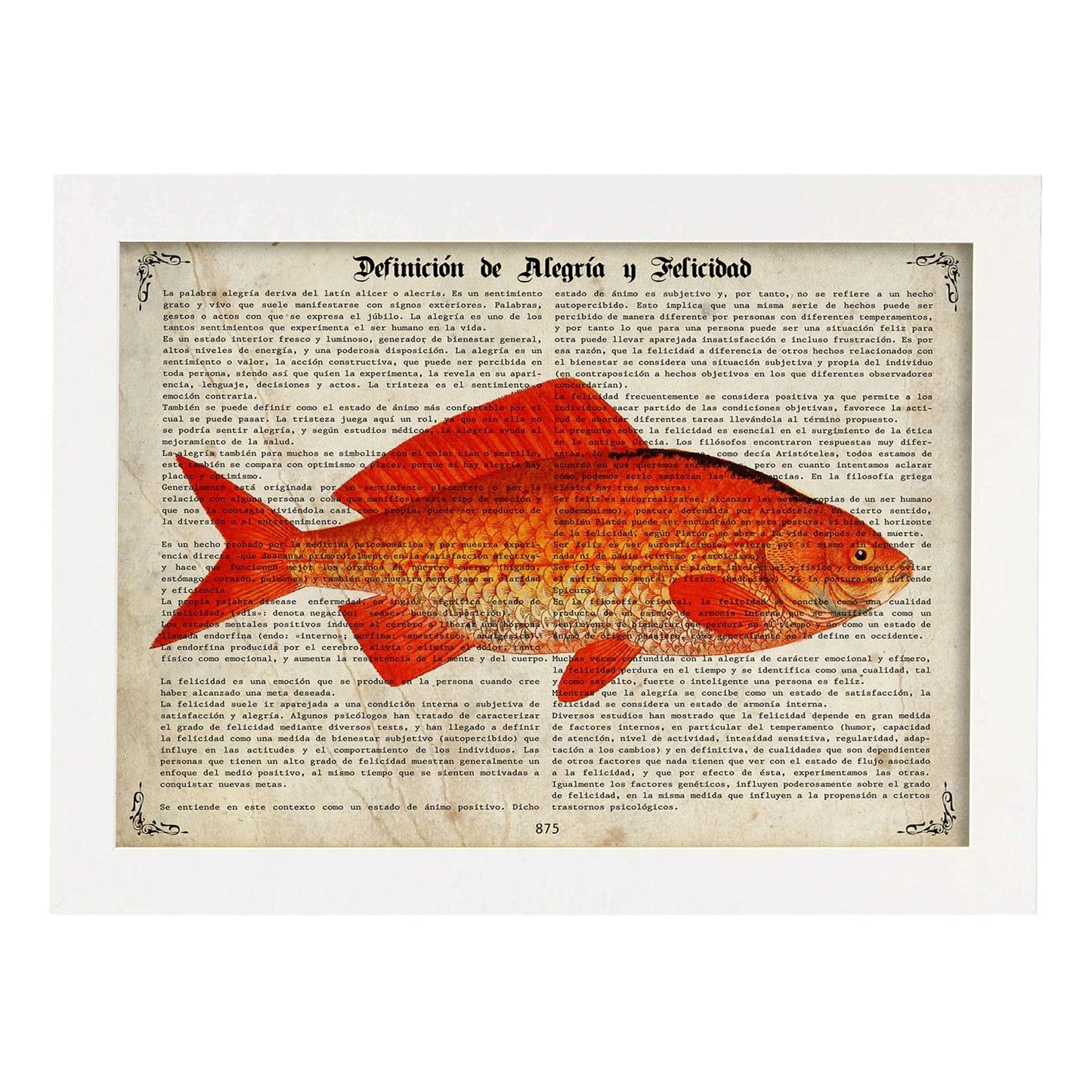 Poster de peces marinos. Lámina de Carpa con definicion. Diseño de peces marinos con definiciones.-Artwork-Nacnic-A3-Marco Blanco-Nacnic Estudio SL