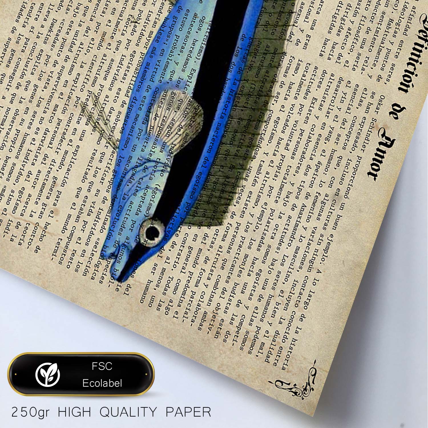 Poster de peces marinos. Lámina de Petroscirtes con definicion. Diseño de peces marinos con definiciones.-Artwork-Nacnic-Nacnic Estudio SL