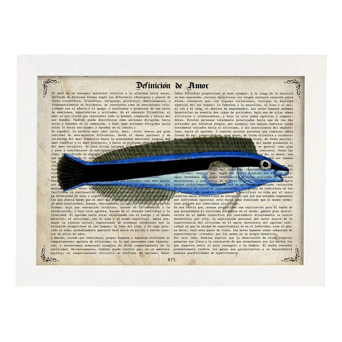 Poster de peces marinos. Lámina de Petroscirtes con definicion. Diseño de peces marinos con definiciones.-Artwork-Nacnic-A3-Marco Blanco-Nacnic Estudio SL