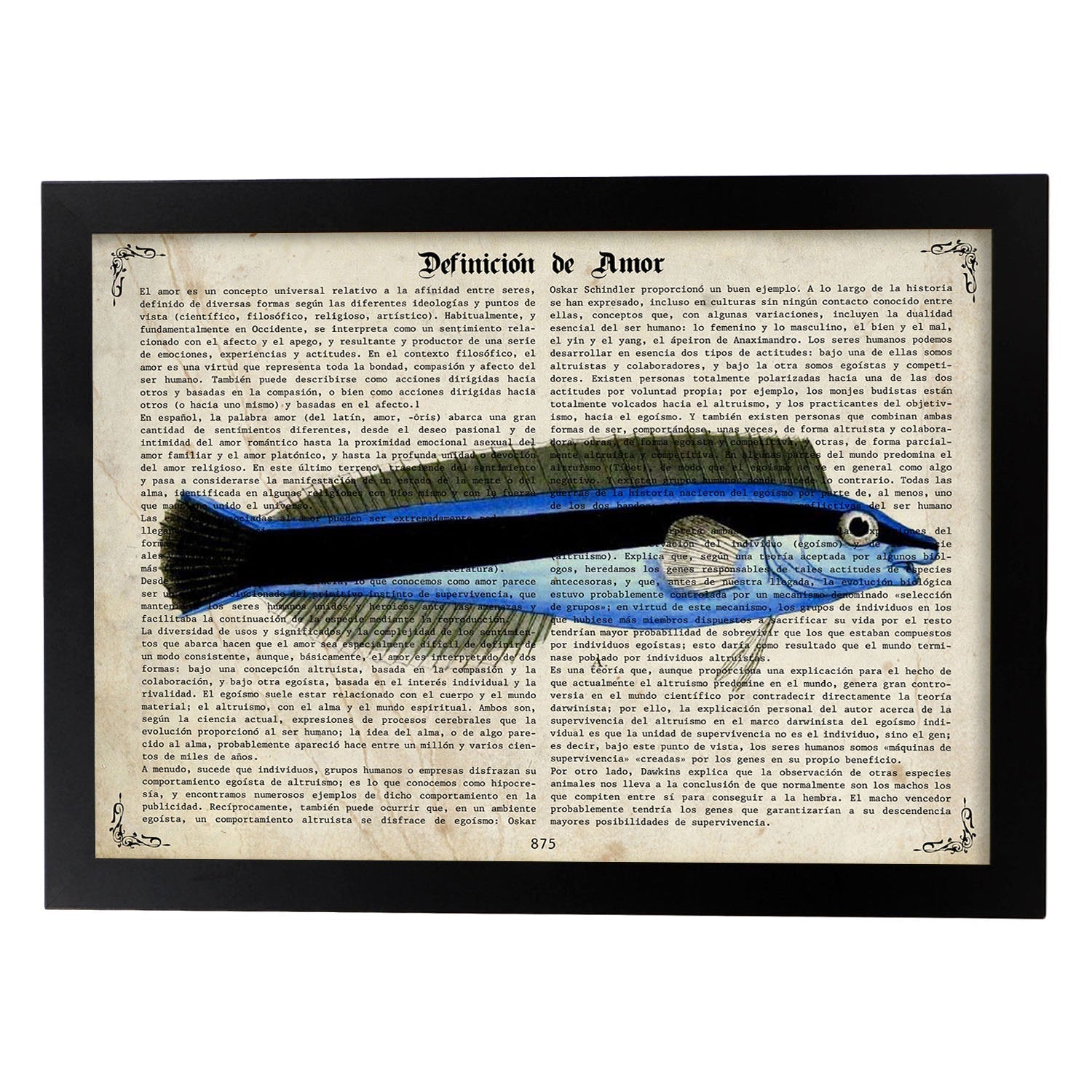 Poster de peces marinos. Lámina de Petroscirtes con definicion. Diseño de peces marinos con definiciones.-Artwork-Nacnic-A3-Marco Negro-Nacnic Estudio SL