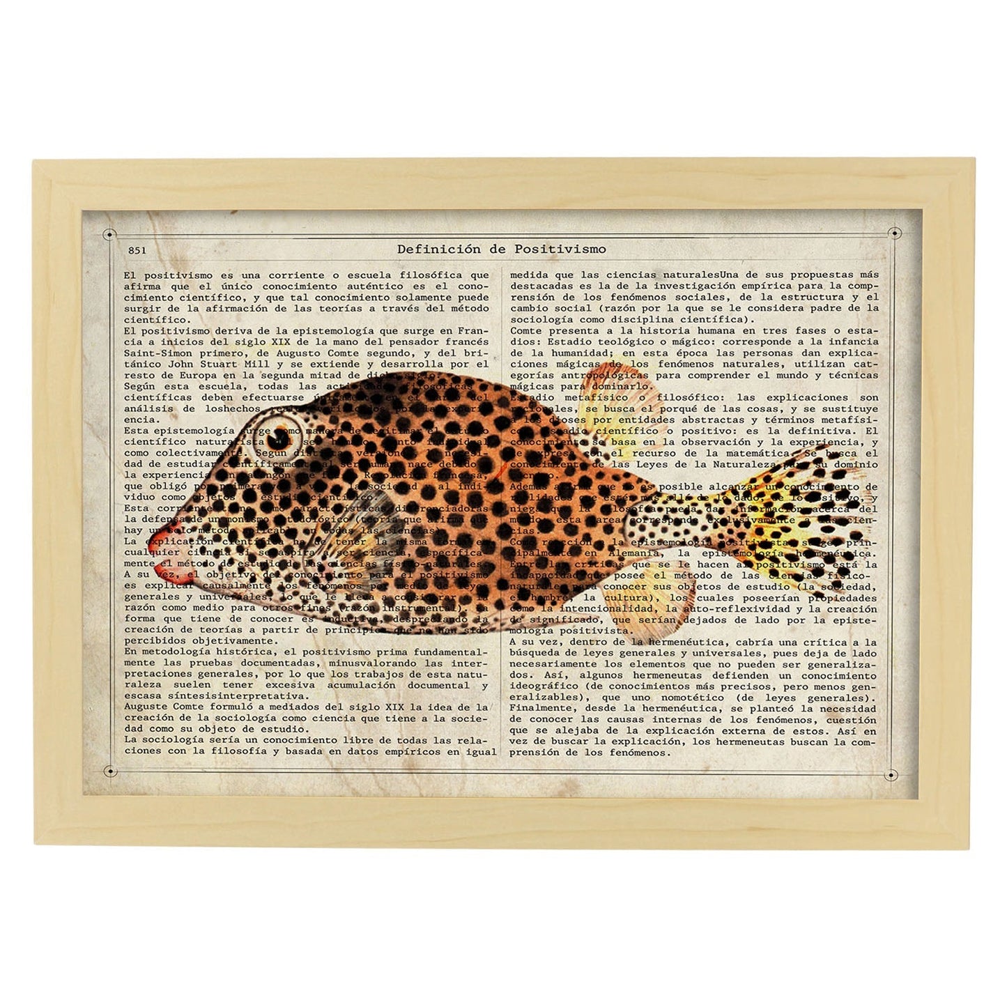 Poster de peces marinos. Lámina de Pez cofre con definicion. Diseño de peces marinos con definiciones.-Artwork-Nacnic-A3-Marco Madera clara-Nacnic Estudio SL