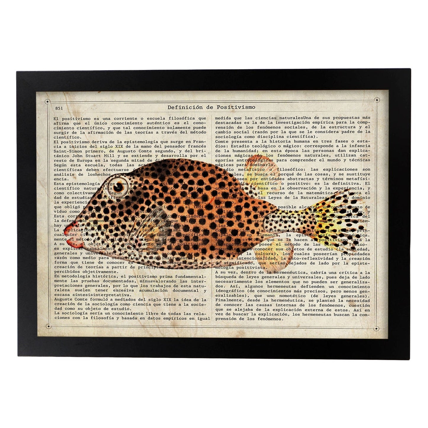 Poster de peces marinos. Lámina de Pez cofre con definicion. Diseño de peces marinos con definiciones.-Artwork-Nacnic-A3-Marco Negro-Nacnic Estudio SL