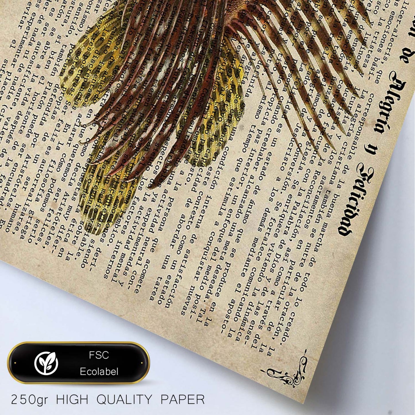 Poster de peces marinos. Lámina de Pez escorpión con definicion. Diseño de peces marinos con definiciones.-Artwork-Nacnic-Nacnic Estudio SL