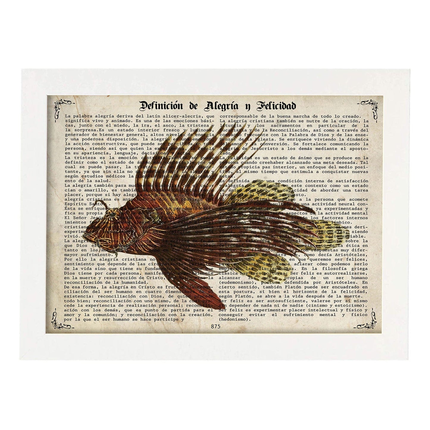 Poster de peces marinos. Lámina de Pez escorpión con definicion. Diseño de peces marinos con definiciones.-Artwork-Nacnic-A3-Marco Blanco-Nacnic Estudio SL