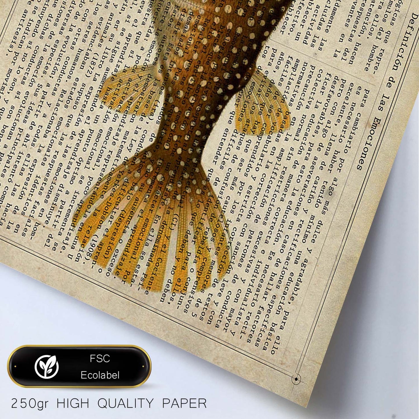 Poster de peces marinos. Lámina de Pez globo con definicion. Diseño de peces marinos con definiciones.-Artwork-Nacnic-Nacnic Estudio SL