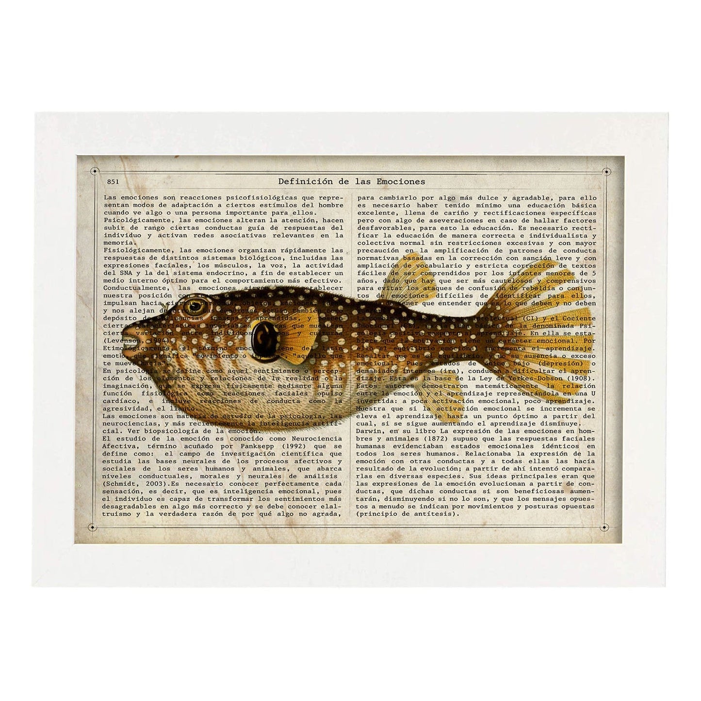 Poster de peces marinos. Lámina de Pez globo con definicion. Diseño de peces marinos con definiciones.-Artwork-Nacnic-A3-Marco Blanco-Nacnic Estudio SL