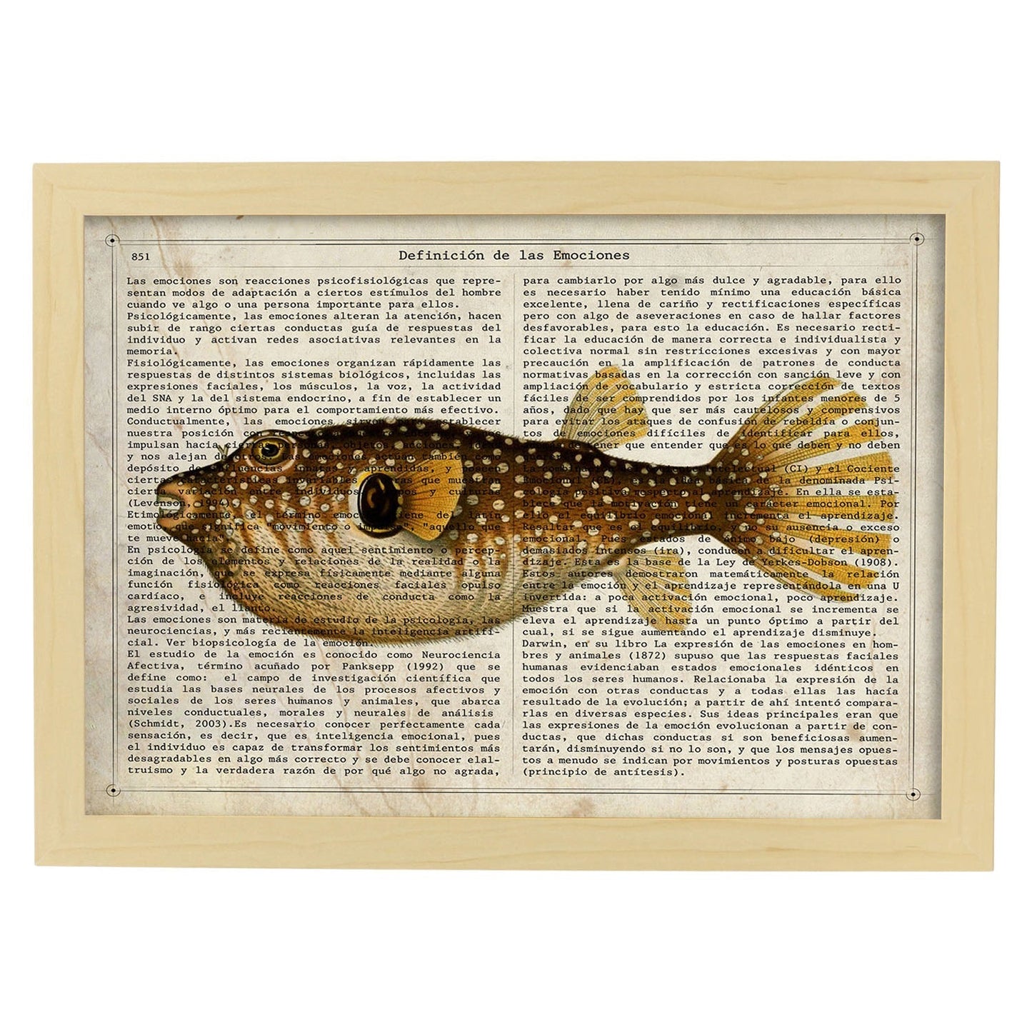 Poster de peces marinos. Lámina de Pez globo con definicion. Diseño de peces marinos con definiciones.-Artwork-Nacnic-A3-Marco Madera clara-Nacnic Estudio SL