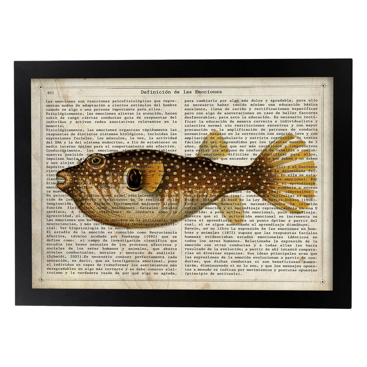 Poster de peces marinos. Lámina de Pez globo con definicion. Diseño de peces marinos con definiciones.-Artwork-Nacnic-A3-Marco Negro-Nacnic Estudio SL