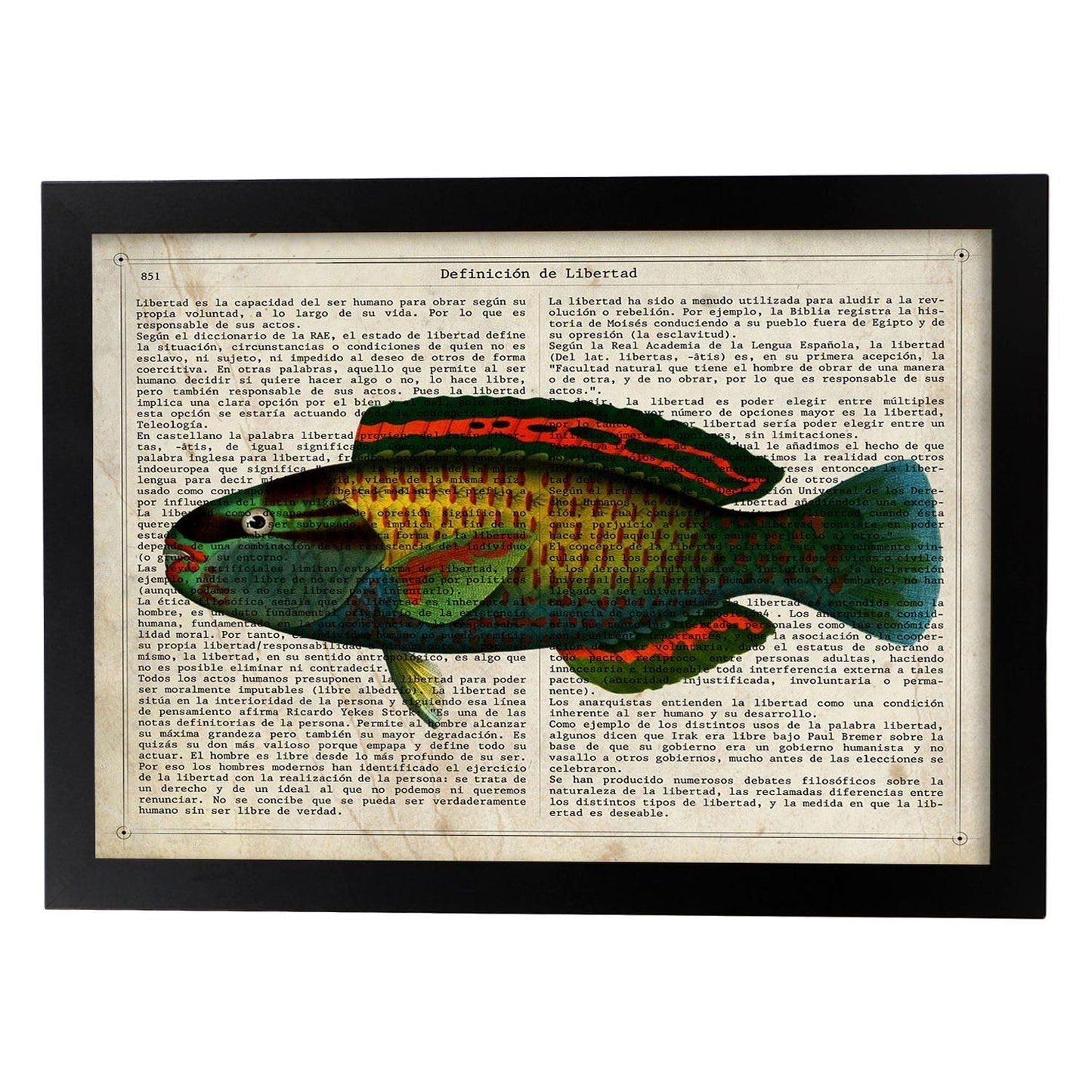 Poster de peces marinos. Lámina de Pez loro con definicion. Diseño de peces marinos con definiciones.-Artwork-Nacnic-A3-Marco Negro-Nacnic Estudio SL