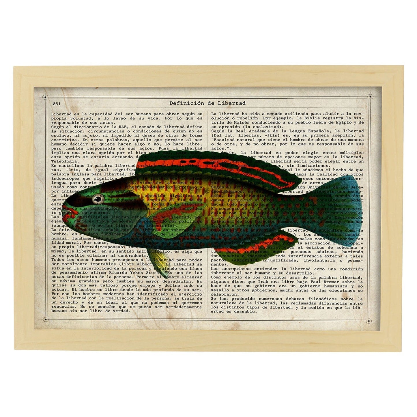 Poster de peces marinos. Lámina de Pez loro con definicion. Diseño de peces marinos con definiciones.-Artwork-Nacnic-A4-Marco Madera clara-Nacnic Estudio SL