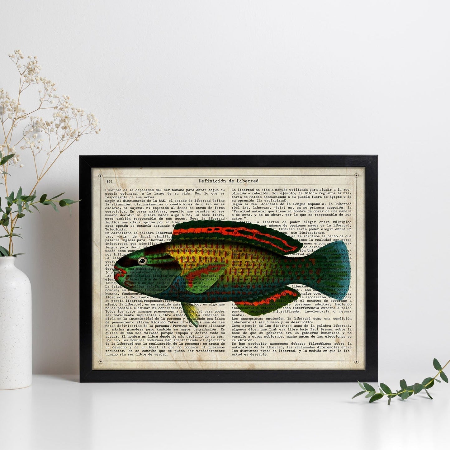 Poster de peces marinos. Lámina de Pez loro con definicion. Diseño de peces marinos con definiciones.-Artwork-Nacnic-Nacnic Estudio SL