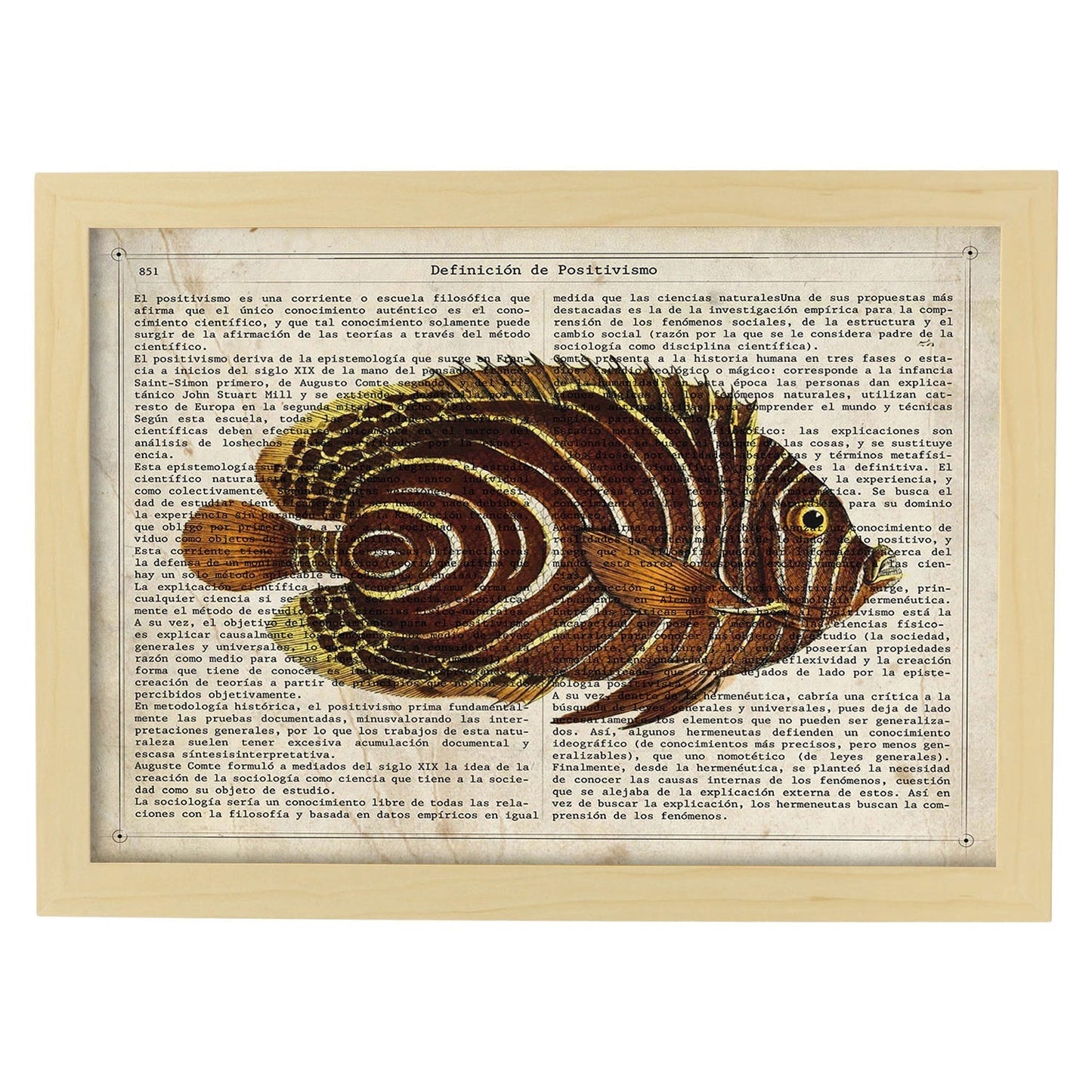 Poster de peces marinos. Lámina de Pez mariposa con definicion. Diseño de peces marinos con definiciones.-Artwork-Nacnic-A4-Marco Madera clara-Nacnic Estudio SL