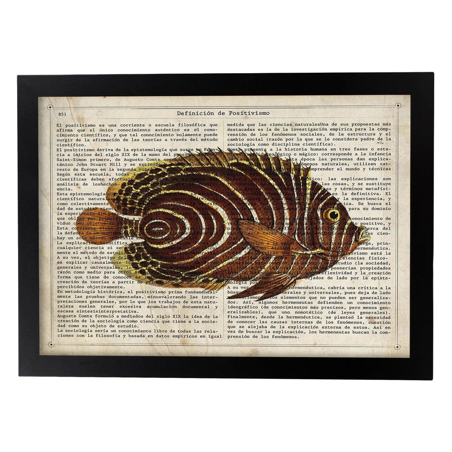 Poster de peces marinos. Lámina de Pez mariposa con definicion. Diseño de peces marinos con definiciones.-Artwork-Nacnic-A4-Marco Negro-Nacnic Estudio SL