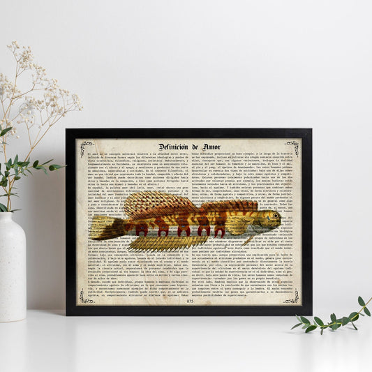 Poster de peces marinos. Lámina de Salarias 2 con definicion. Diseño de peces marinos con definiciones.-Artwork-Nacnic-Nacnic Estudio SL