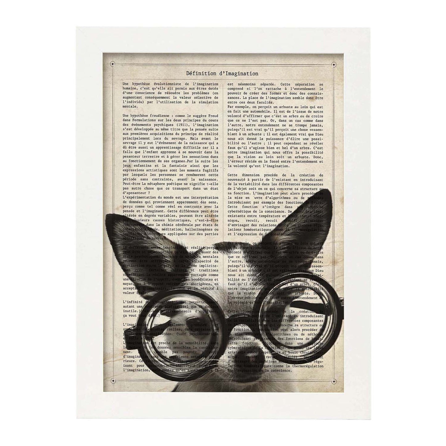 Poster de Perro gafotas. Láminas de animales con definiciones. Ilustraciones de animales con textos.-Artwork-Nacnic-A3-Marco Blanco-Nacnic Estudio SL