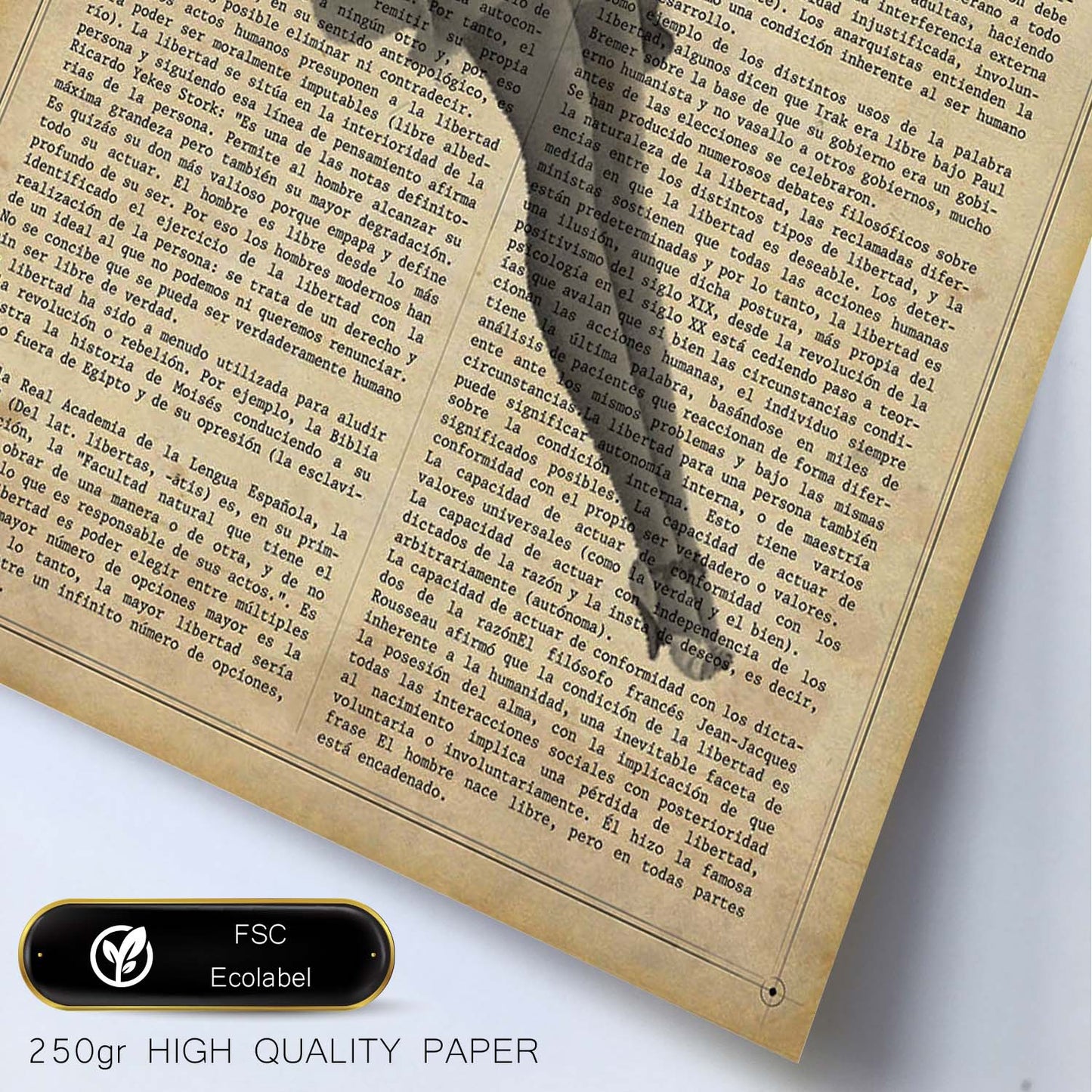 Poster de Pin up trapecista. Láminas con diseño Pin-Up para decoración de hogar. Regalo para chica pin-up.-Artwork-Nacnic-Nacnic Estudio SL