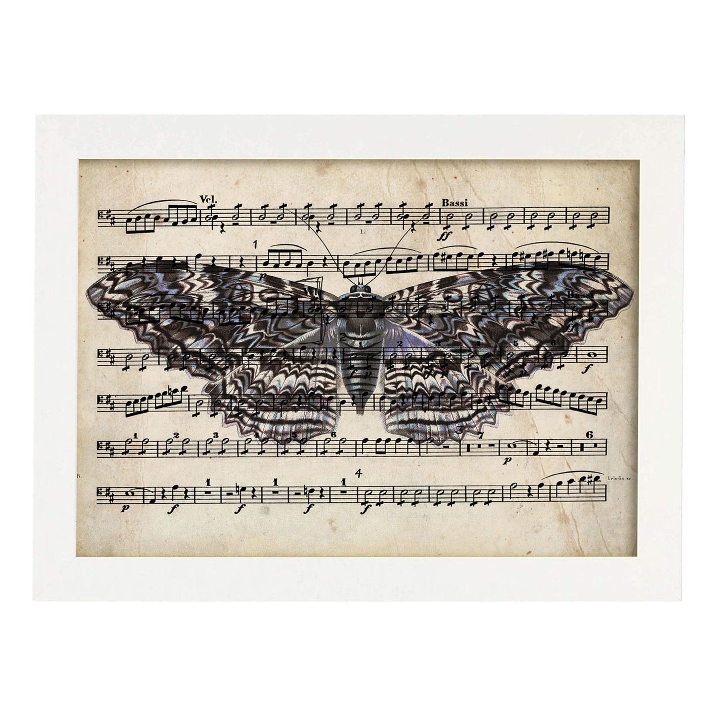 Poster de Polilla morada. Láminas de mariposas. Decoración de mariposas y polillas.-Artwork-Nacnic-A3-Marco Blanco-Nacnic Estudio SL