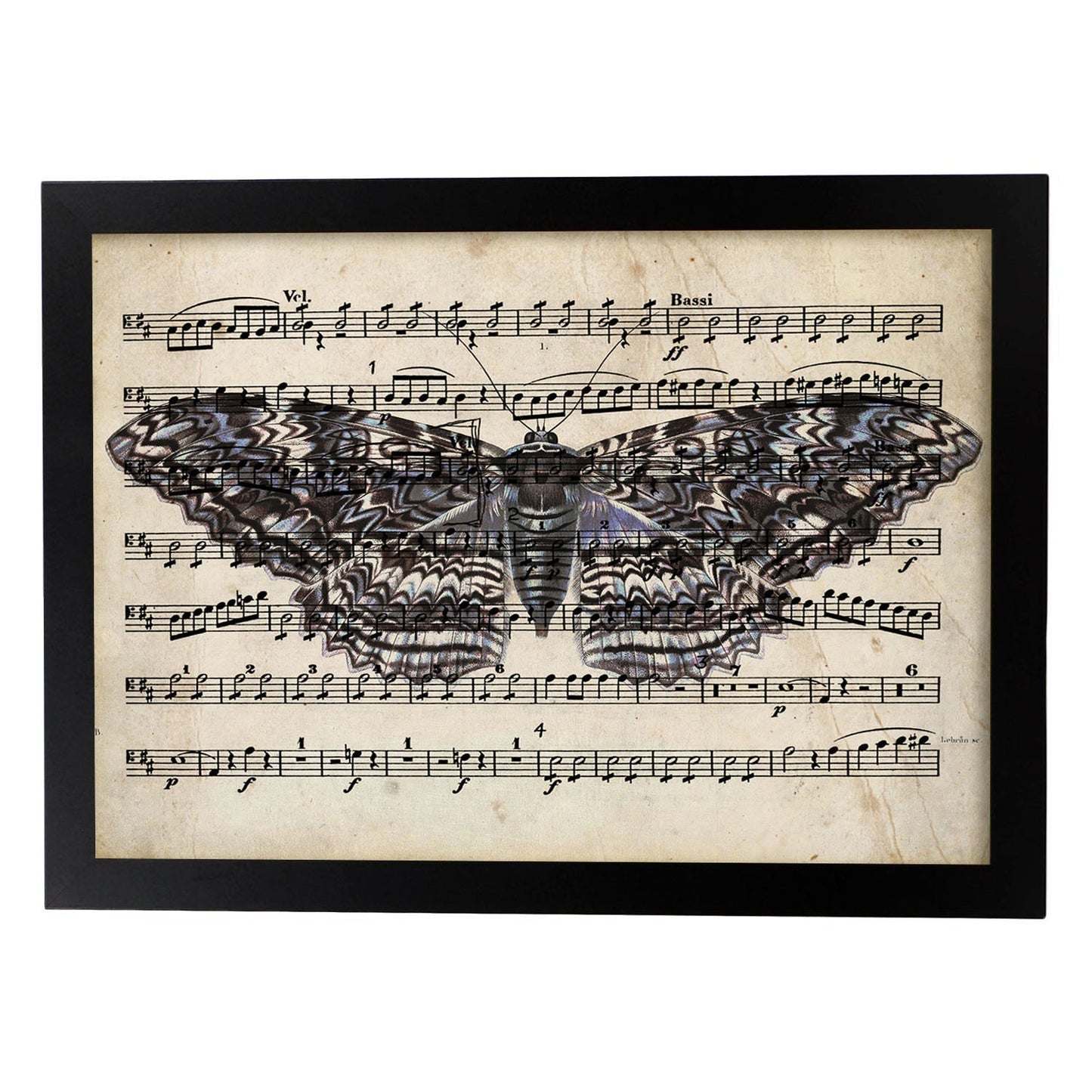 Poster de Polilla morada. Láminas de mariposas. Decoración de mariposas y polillas.-Artwork-Nacnic-A3-Marco Negro-Nacnic Estudio SL