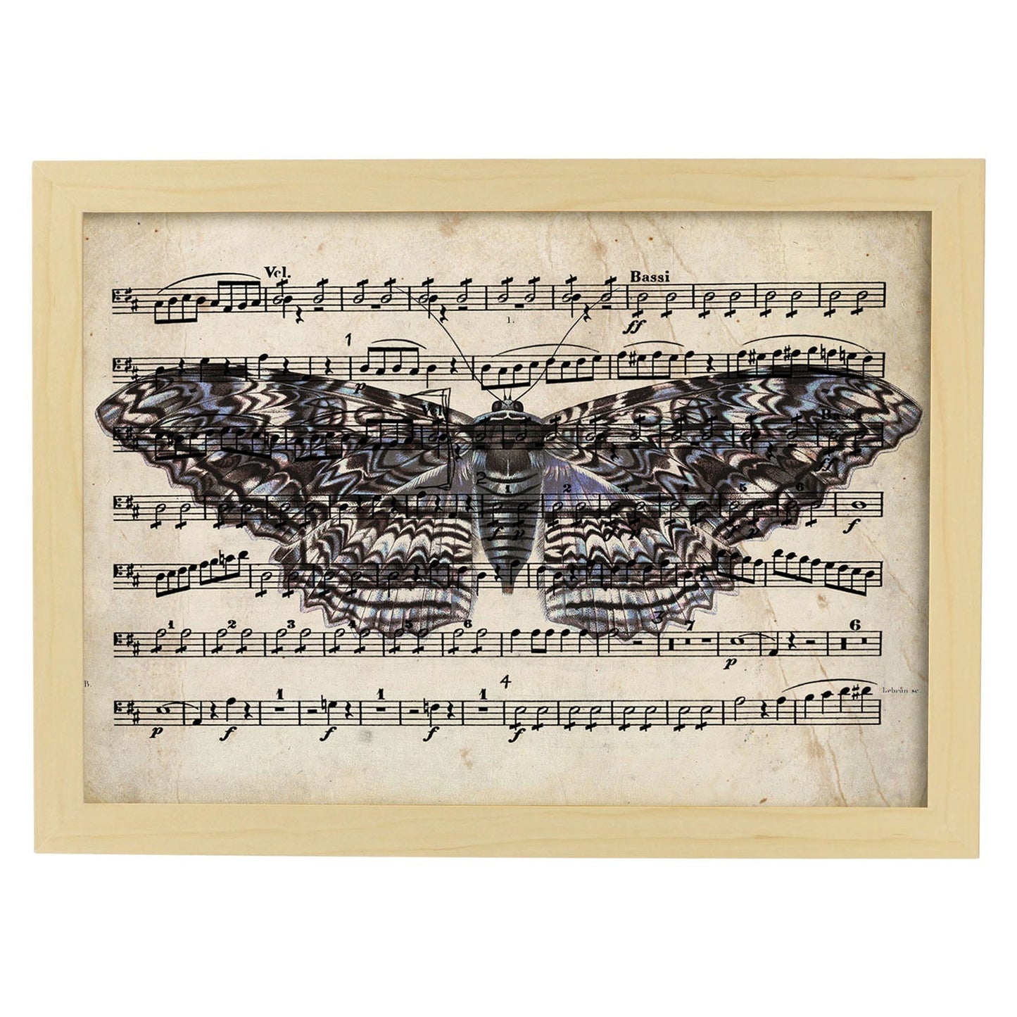 Poster de Polilla morada. Láminas de mariposas. Decoración de mariposas y polillas.-Artwork-Nacnic-A4-Marco Madera clara-Nacnic Estudio SL