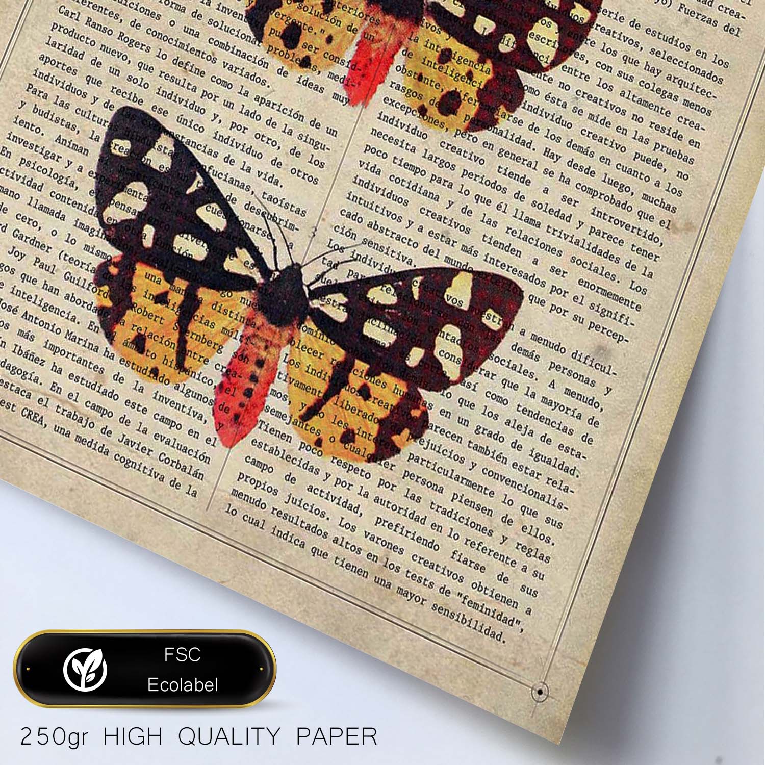 Poster de Polilla tigre. Láminas de mariposas. Decoración de mariposas y polillas.-Artwork-Nacnic-Nacnic Estudio SL