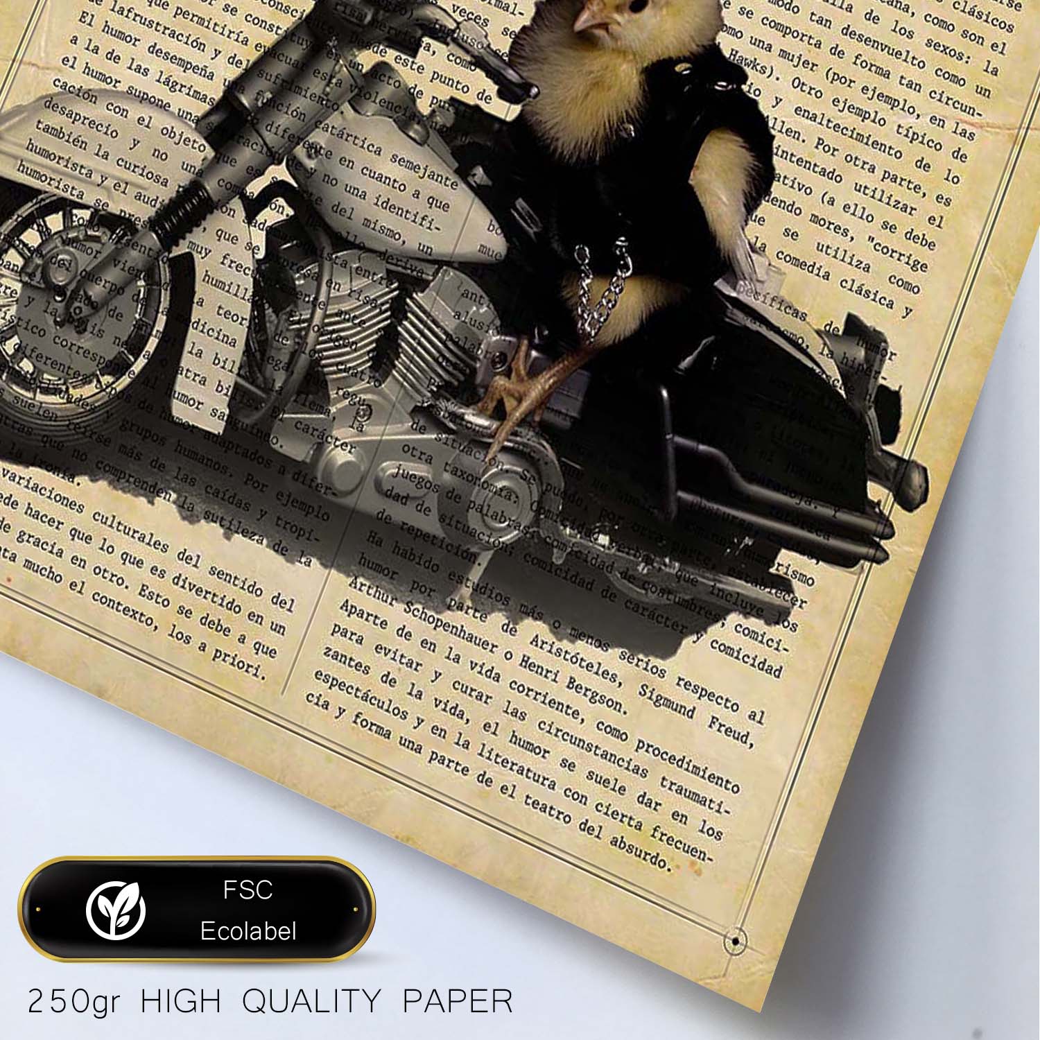 Poster de Pollo en moto. Láminas de animales con definiciones. Ilustraciones de animales con textos.-Artwork-Nacnic-Nacnic Estudio SL