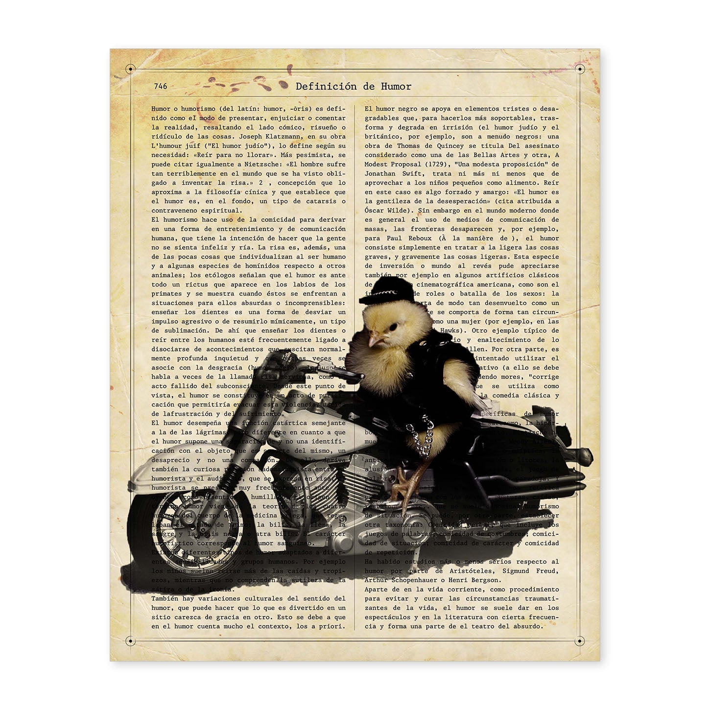 Poster de Pollo en moto. Láminas de animales con definiciones. Ilustraciones de animales con textos.-Artwork-Nacnic-A4-Sin marco-Nacnic Estudio SL