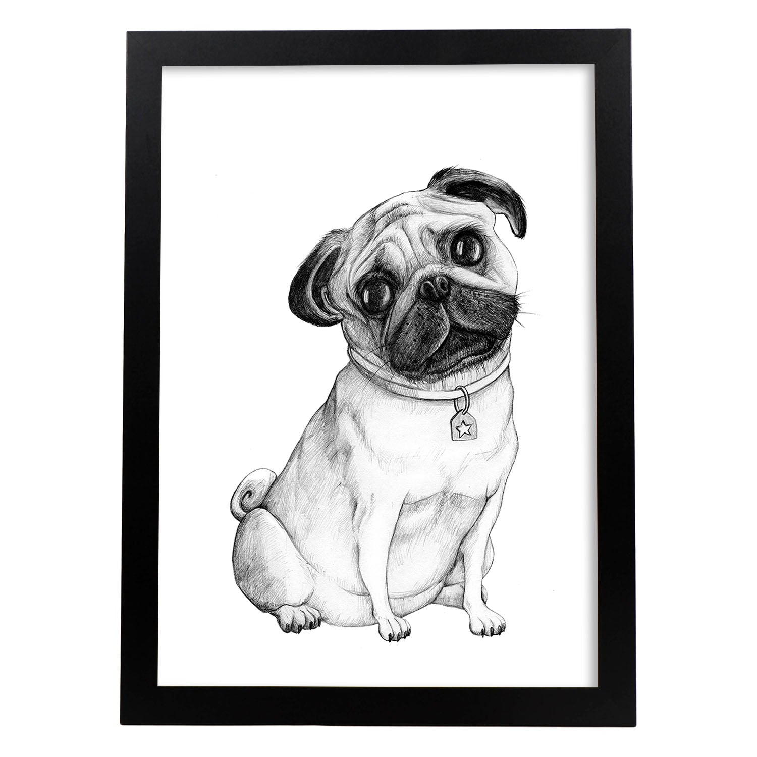 Poster de Pug blanco. Lámina decorativa de perros.-Artwork-Nacnic-A3-Marco Negro-Nacnic Estudio SL