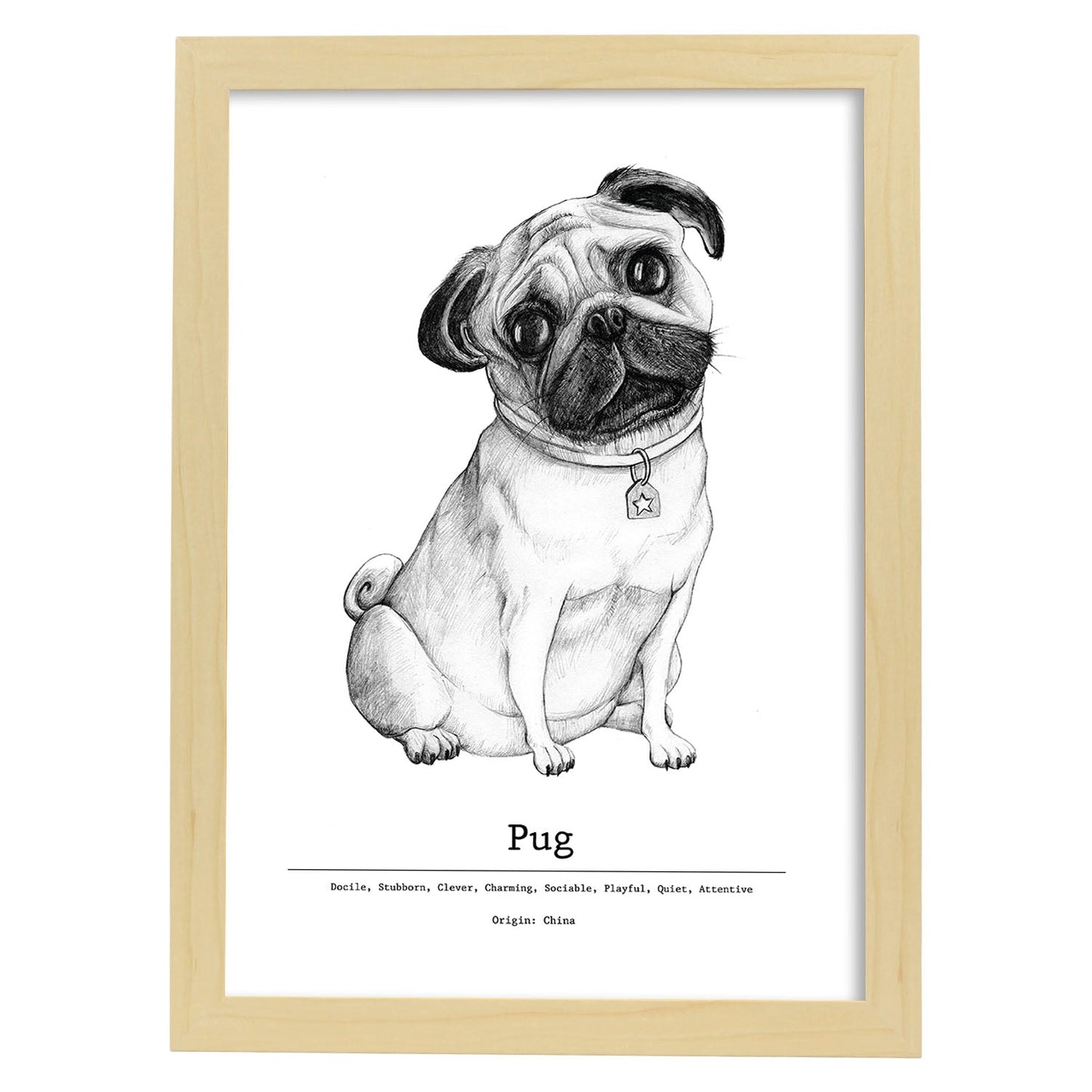 Poster de Pug. Lámina decorativa de perros.-Artwork-Nacnic-A4-Marco Madera clara-Nacnic Estudio SL