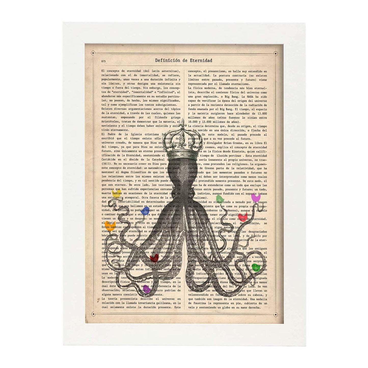 Poster de Pulpo con pajaros de colores. Láminas de animales con definiciones. Ilustraciones de animales con textos.-Artwork-Nacnic-Nacnic Estudio SL