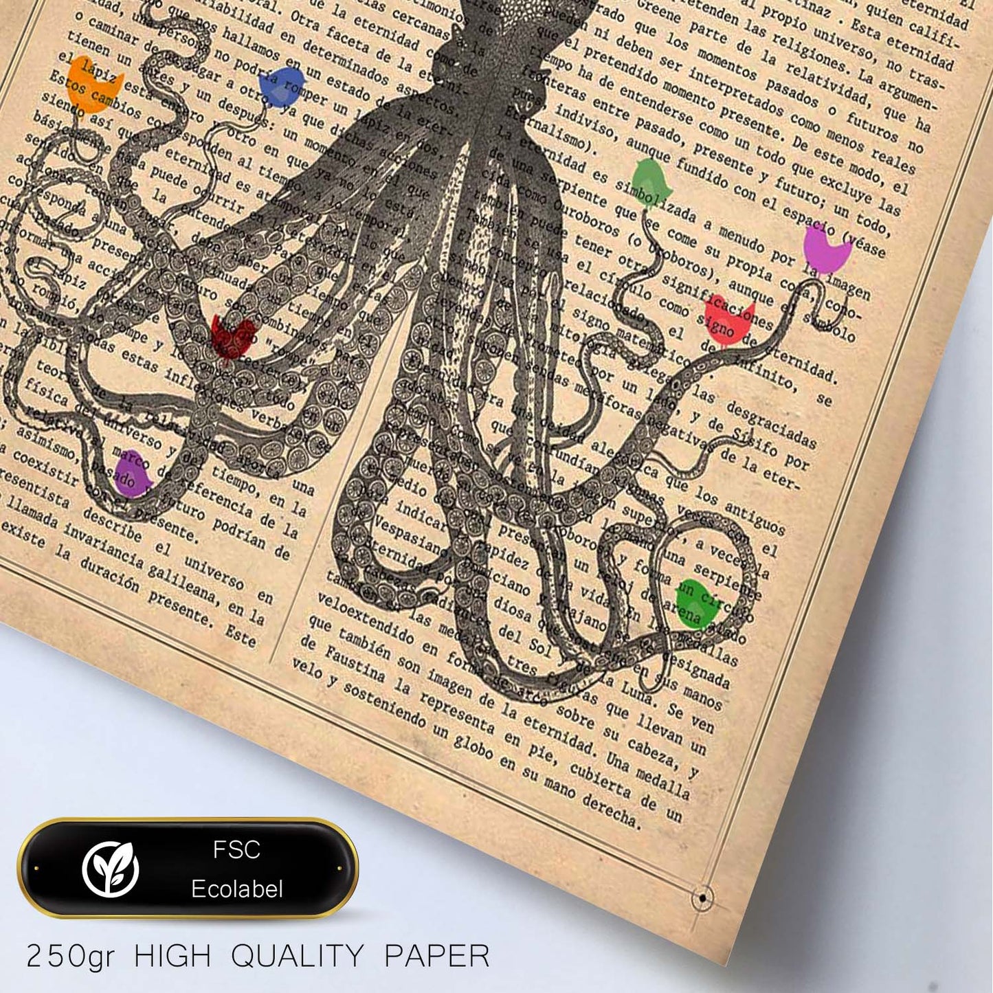Poster de Pulpo con pajaros de colores. Láminas de animales con definiciones. Ilustraciones de animales con textos.-Artwork-Nacnic-Nacnic Estudio SL