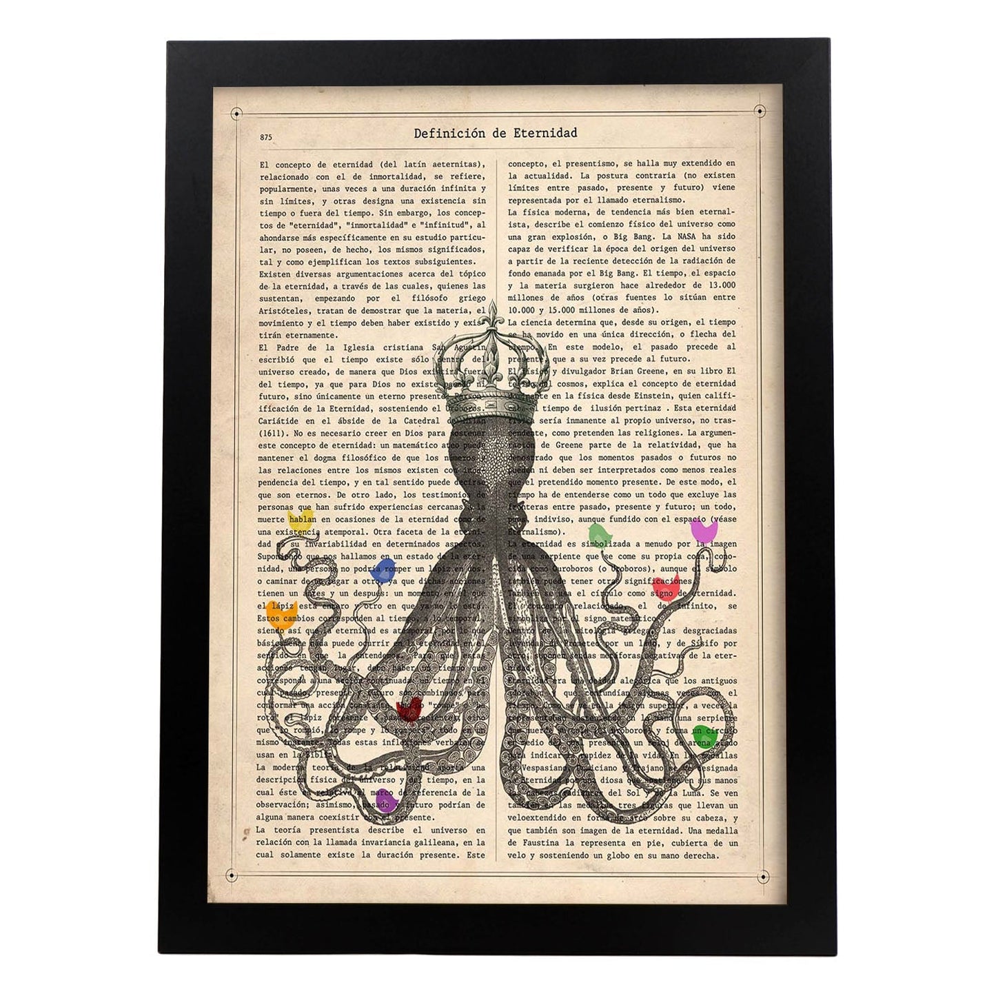 Poster de Pulpo con pajaros de colores. Láminas de animales con definiciones. Ilustraciones de animales con textos.-Artwork-Nacnic-A4-Marco Negro-Nacnic Estudio SL