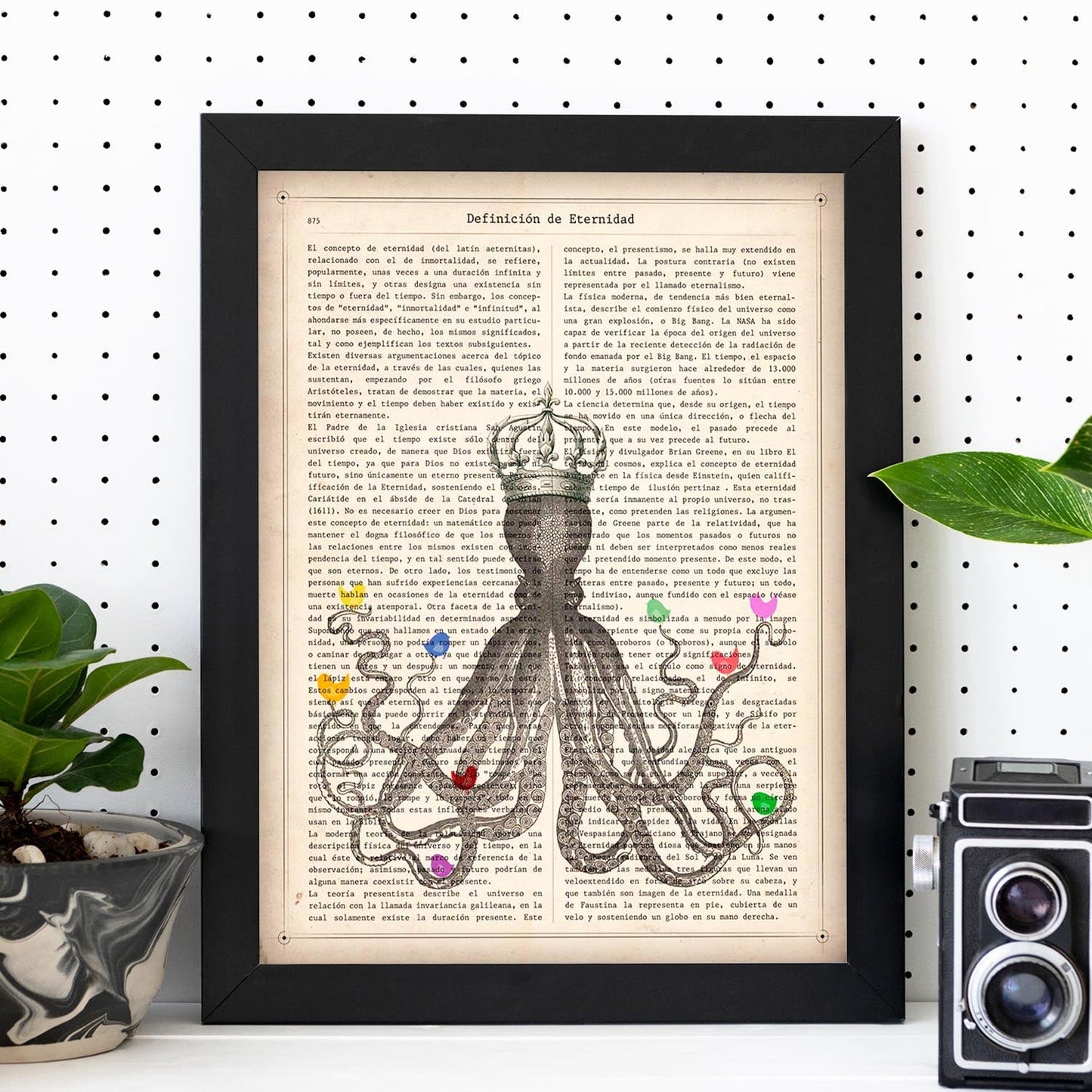 Poster de Pulpo con pajaros de colores. Láminas de animales con definiciones. Ilustraciones de animales con textos.-Artwork-Nacnic-Nacnic Estudio SL