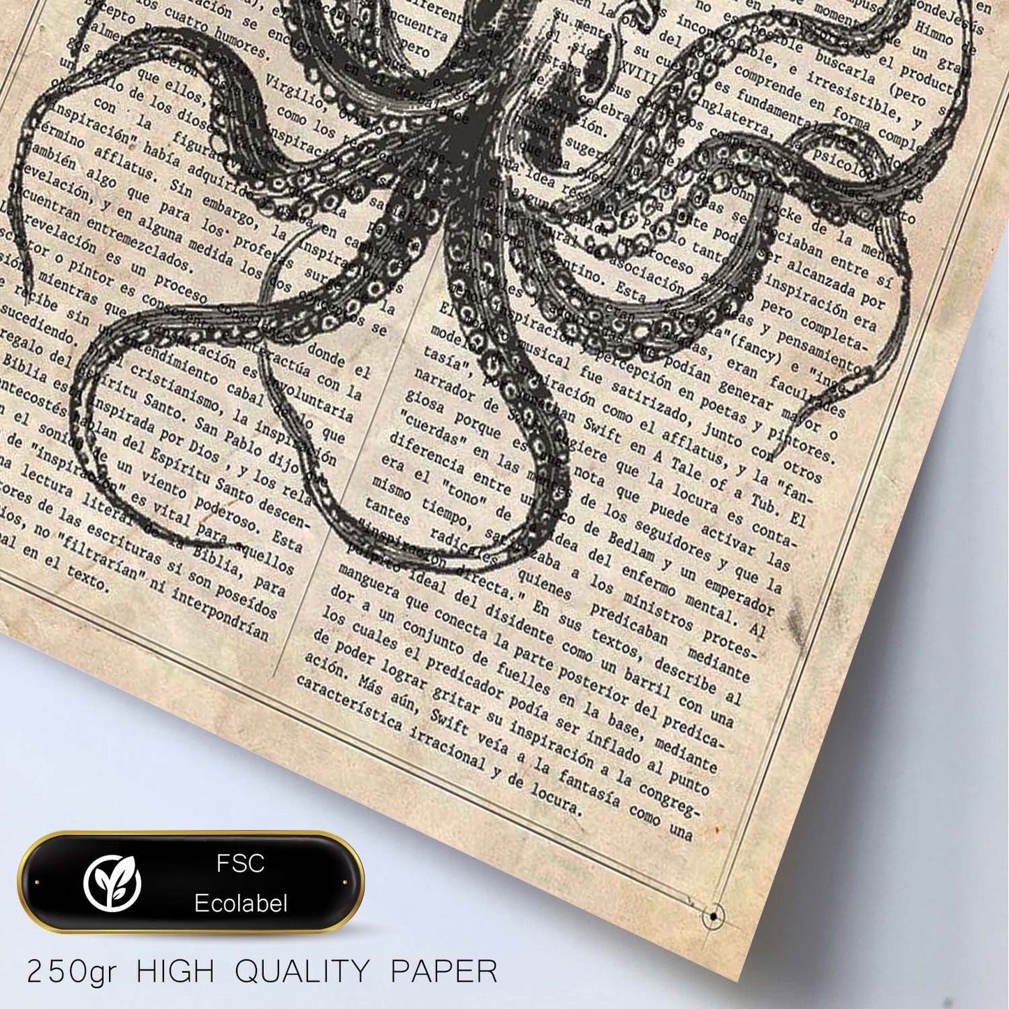 Poster de Pulpo reina. Láminas de animales con definiciones. Ilustraciones de animales con textos.-Artwork-Nacnic-Nacnic Estudio SL