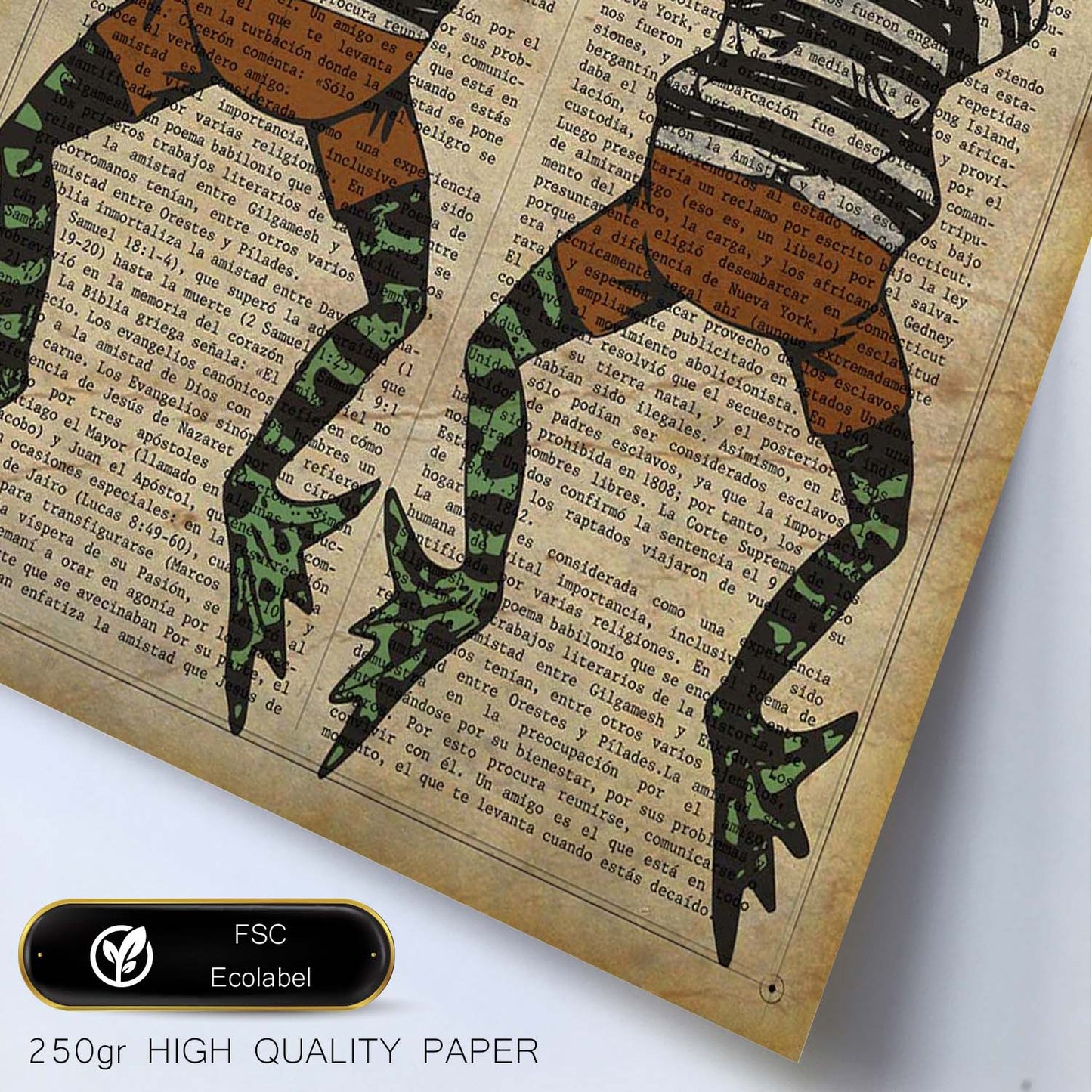 Poster de Ranas camiseta de rayas. Láminas de animales con definiciones. Ilustraciones de animales con textos.-Artwork-Nacnic-Nacnic Estudio SL