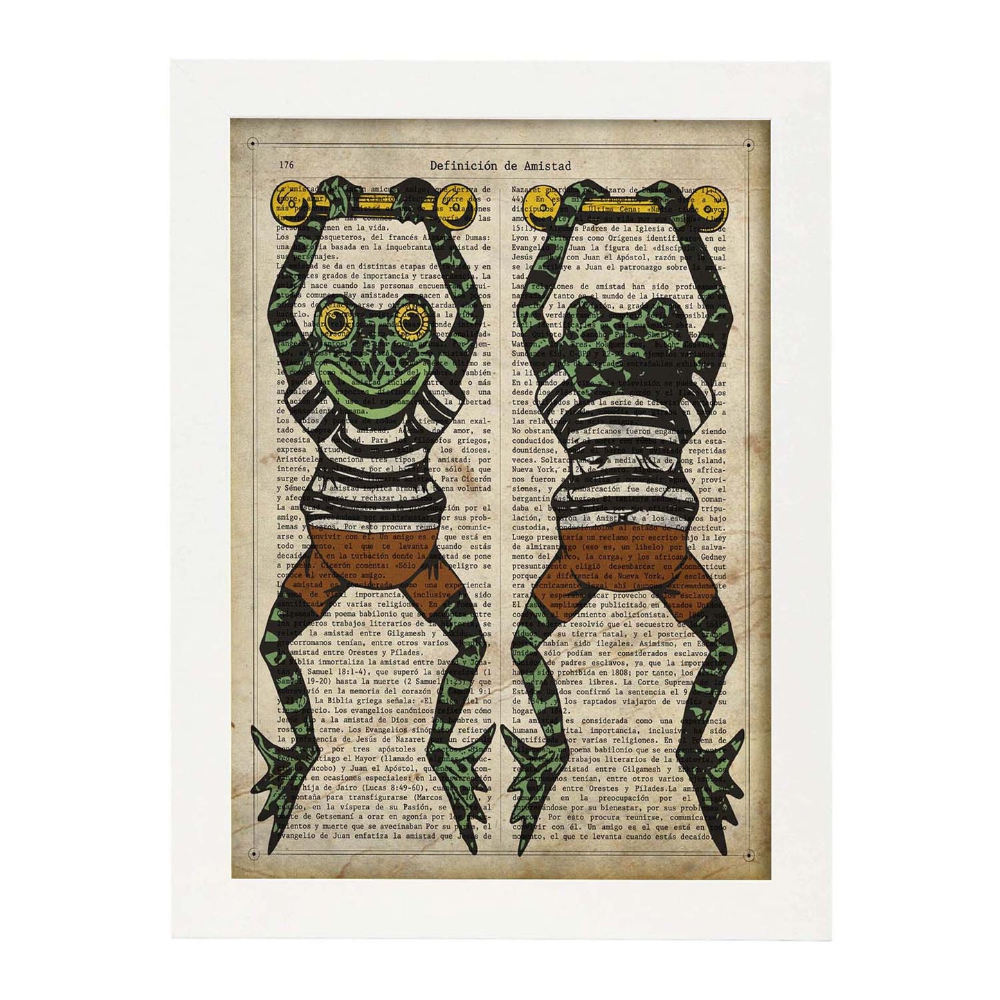 Poster de Ranas camiseta de rayas. Láminas de animales con definiciones. Ilustraciones de animales con textos.-Artwork-Nacnic-A3-Marco Blanco-Nacnic Estudio SL