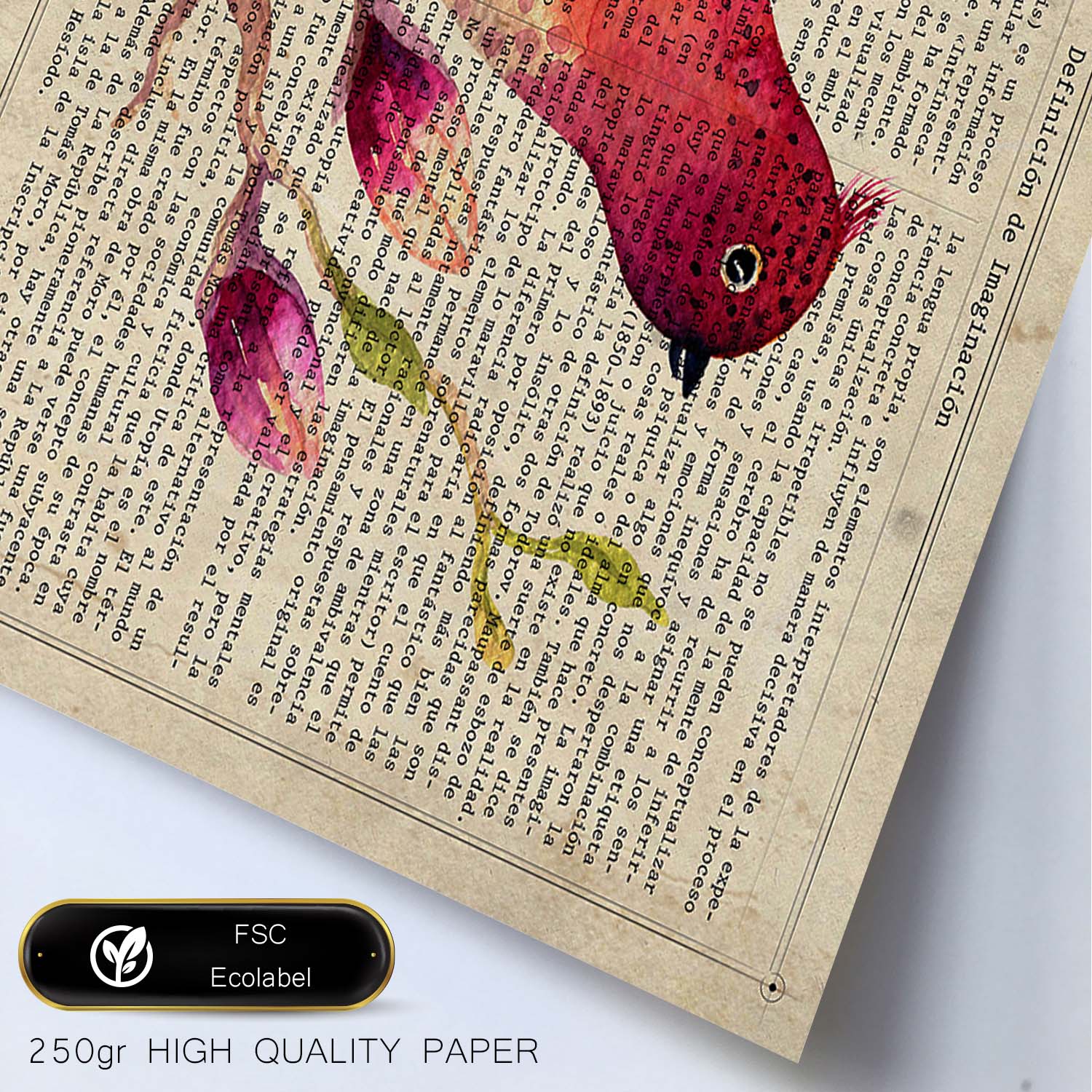 Poster de RapsBerry Bird con definición. Láminas de animales con texto y definición. Diseño de interiores basado en animales.-Artwork-Nacnic-Nacnic Estudio SL