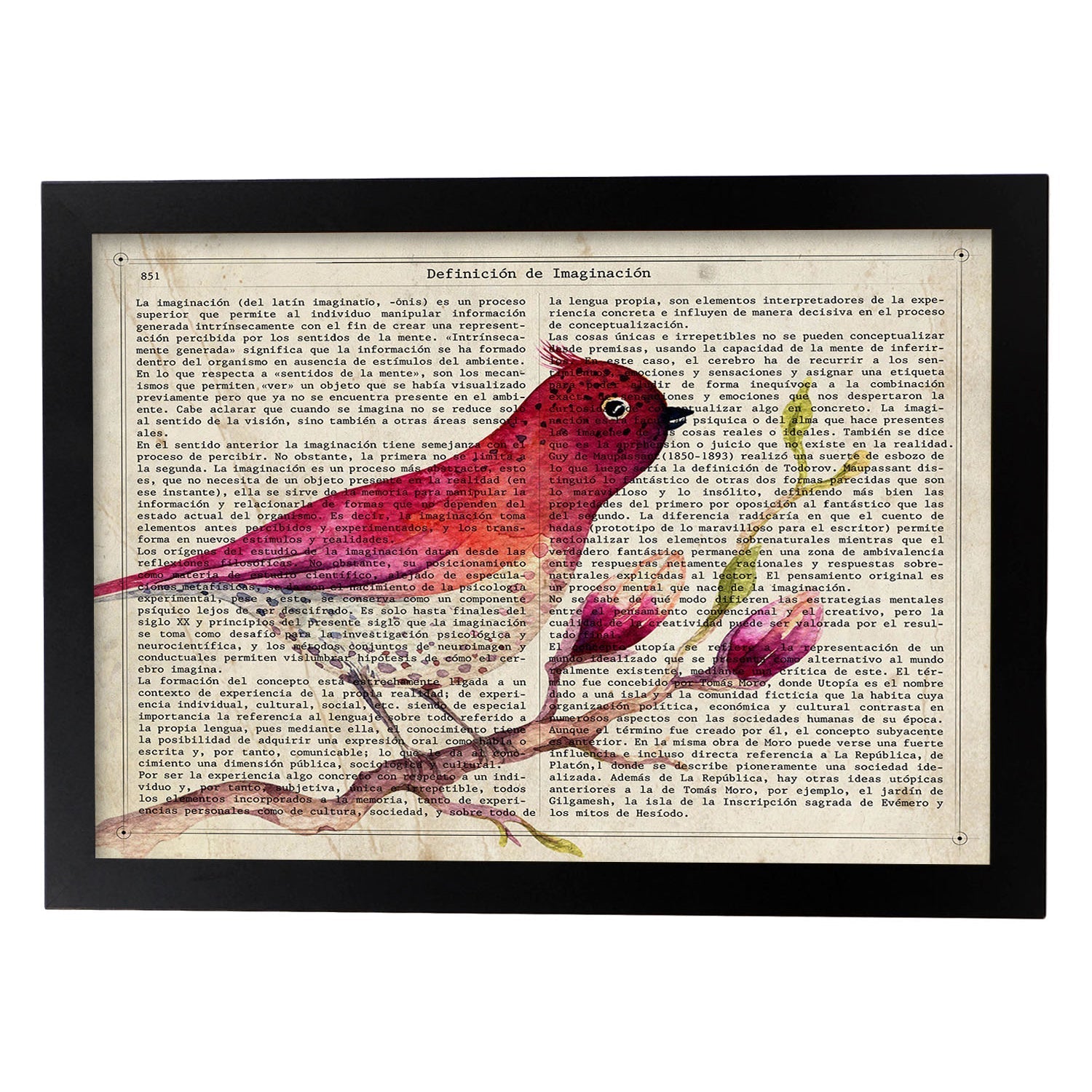 Poster de RapsBerry Bird con definición. Láminas de animales con texto y definición. Diseño de interiores basado en animales.-Artwork-Nacnic-A3-Marco Negro-Nacnic Estudio SL