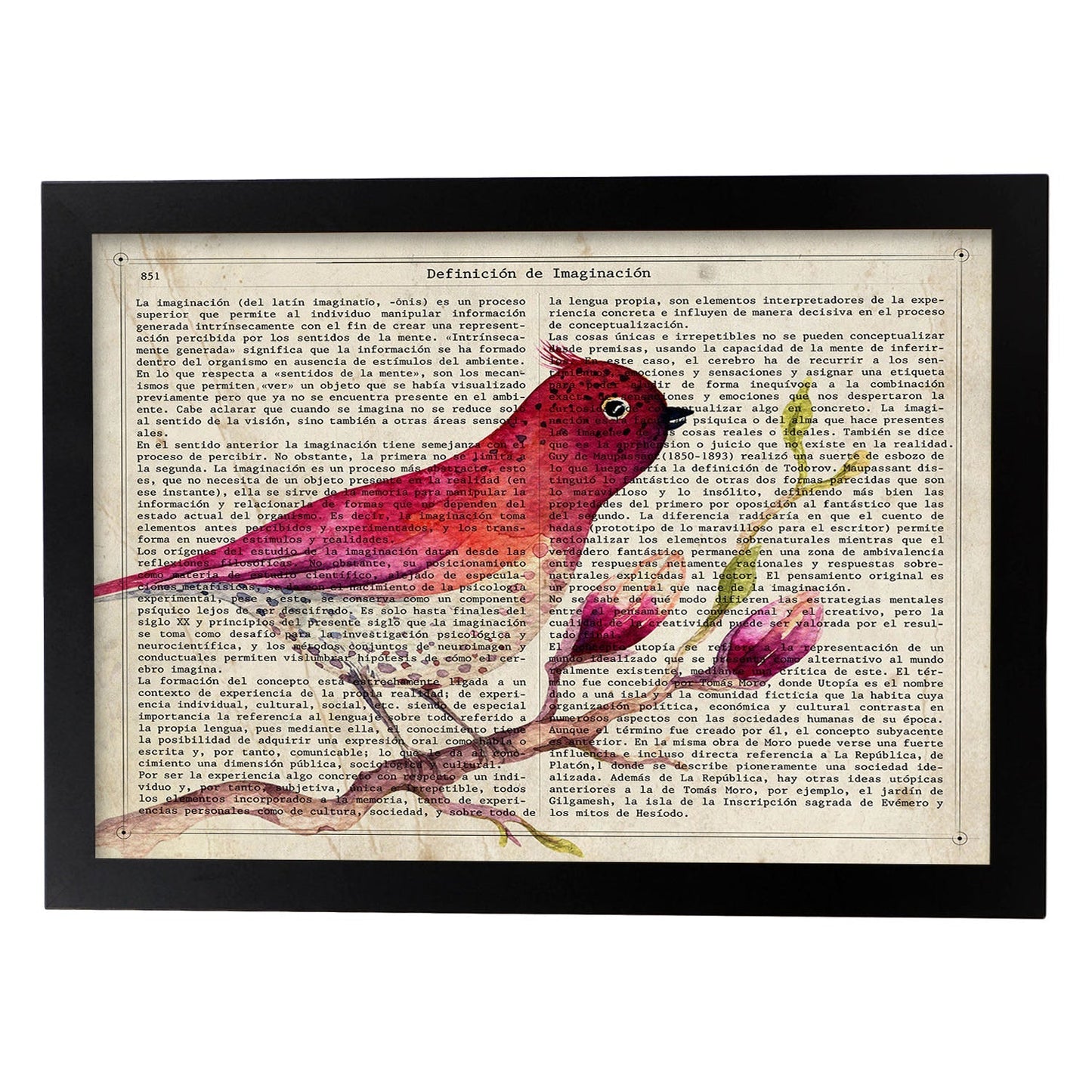 Poster de RapsBerry Bird con definición. Láminas de animales con texto y definición. Diseño de interiores basado en animales.-Artwork-Nacnic-A4-Marco Negro-Nacnic Estudio SL