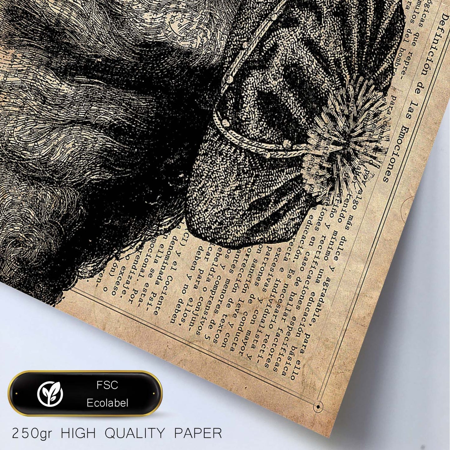 Poster de Rasta Lion con definición. Láminas de animales con texto y definición. Diseño de interiores basado en animales.-Artwork-Nacnic-Nacnic Estudio SL
