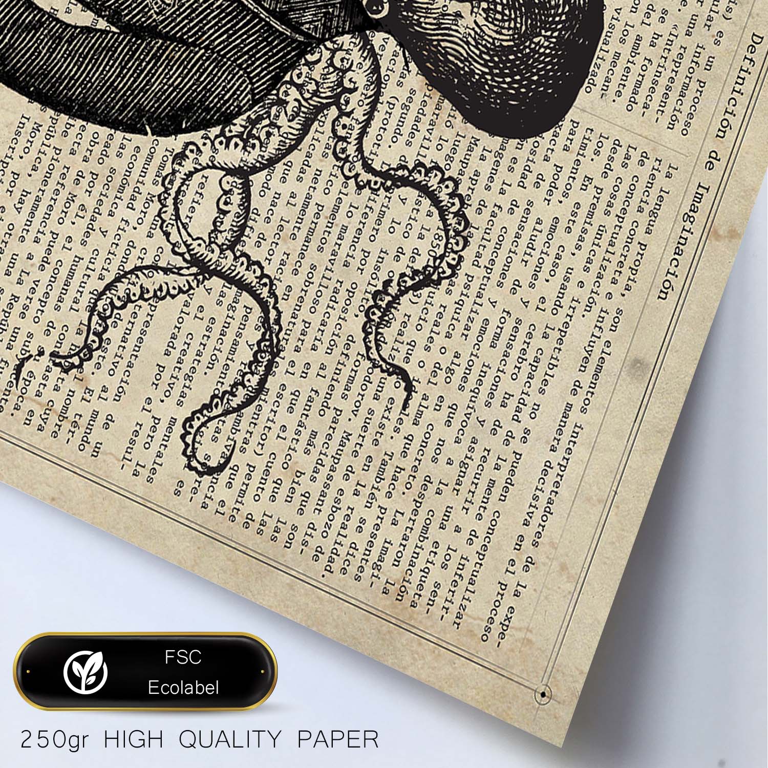 Poster de Rasta Octopus con definición. Láminas de animales con texto y definición. Diseño de interiores basado en animales.-Artwork-Nacnic-Nacnic Estudio SL