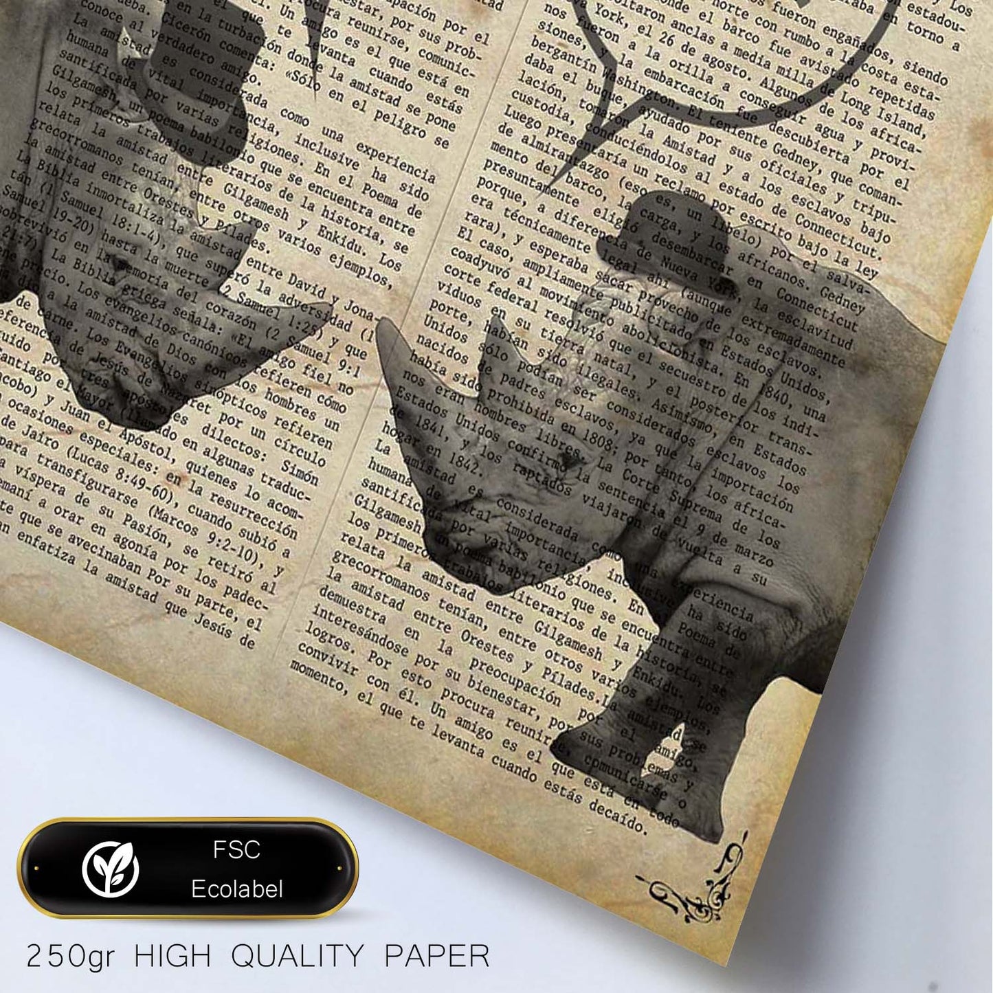 Poster de Rinos hablando. Láminas de animales con definiciones. Ilustraciones de animales con textos.-Artwork-Nacnic-Nacnic Estudio SL