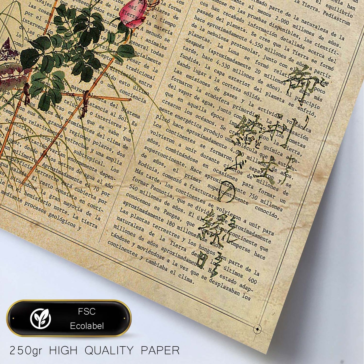 Poster de Rosas y pajaro. Láminas coloridas con definiciones. Ilustraciones llenas de color para-Artwork-Nacnic-Nacnic Estudio SL