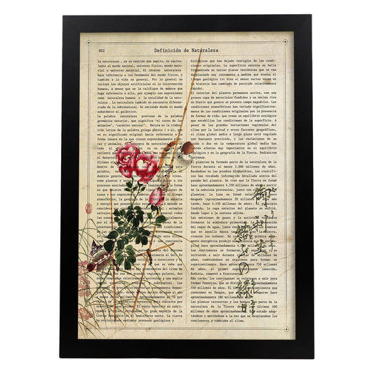 Poster de Rosas y pajaro. Láminas coloridas con definiciones. Ilustraciones llenas de color para-Artwork-Nacnic-A4-Marco Negro-Nacnic Estudio SL