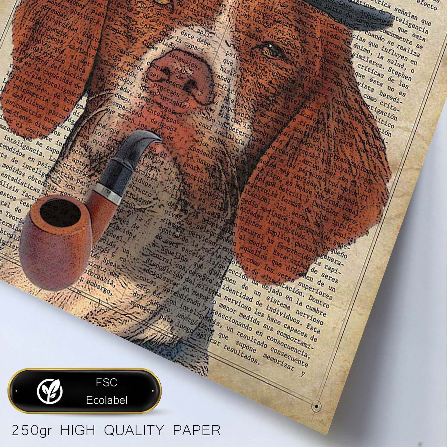 Poster de Sherlock Dog. Láminas de animales con definiciones. Ilustraciones de animales con textos.-Artwork-Nacnic-Nacnic Estudio SL