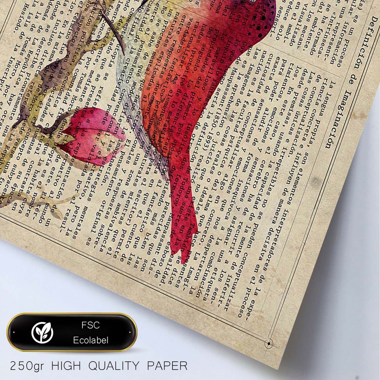 Poster de Strawberry Bird con definición. Láminas de animales con texto y definición. Diseño de interiores basado en animales.-Artwork-Nacnic-Nacnic Estudio SL